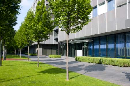 Commercial tree services by Spring Creek Tree Service, LLC