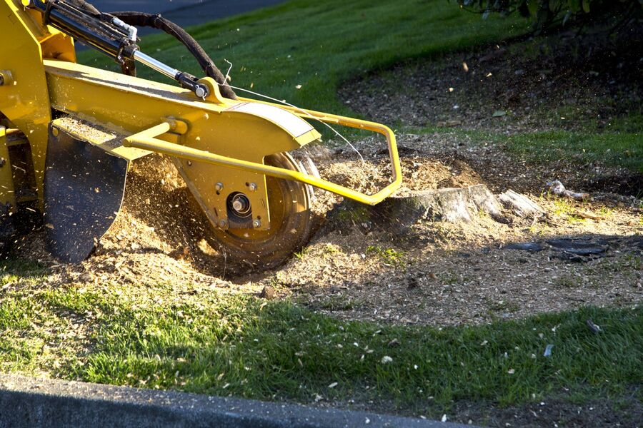 Stump Grinding & Stump Removal by Spring Creek Tree Service, LLC